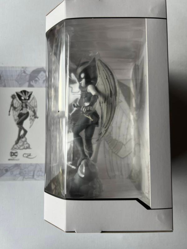 Hawkgirl DC DC Artiest Alley Black & White Variant (2019 DC Comics / Limited Editon Only 1000 Made) - Image 8