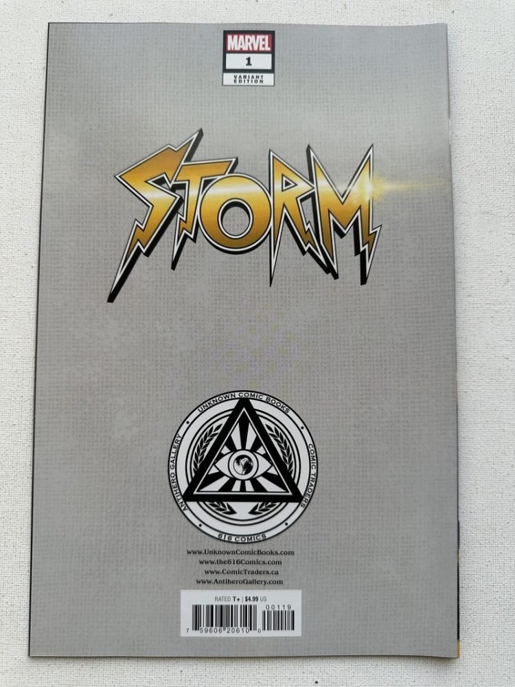 Storm 1 Comics Illuminati Exclusive Virgin Variant Cover By Sabine Rich (2023 Marvel) - Image 3